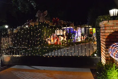 DSC_5799 (Large).JPG